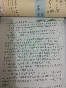 校园里的海棠作文400字