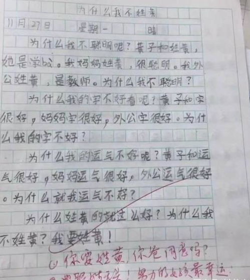 小学生文明进校园的作文