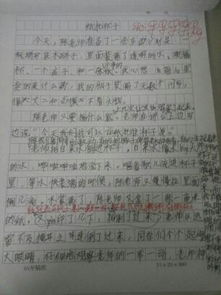 校园的教室作文200字三级