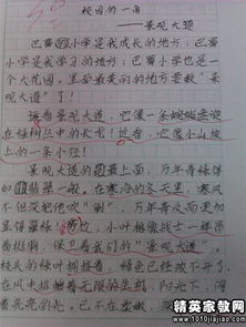 青春校园往事的主题句记叙作文800字