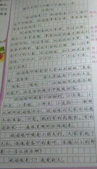 深秋的校园作文500字