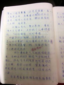 校园暴力安全作文200字