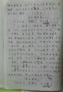 大咖进校园作文350字