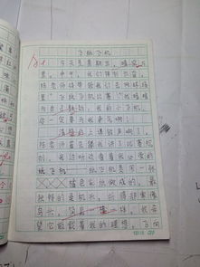 写校园里难忘的一件事作文400字