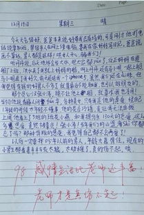 校园生活苦与乐500作文