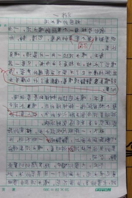 小学生四级美丽的校园这一扁作文