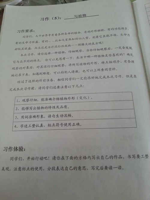 我的植物朋友作文怎么写,我的植物朋友作文怎么写?三年级,植物的朋友作文怎么写