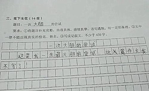 用动静鞋和来写放学后的校园作文