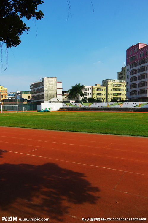 哈尔滨继红小学校园风景作文