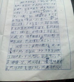 校园的甜的滋味作文400字