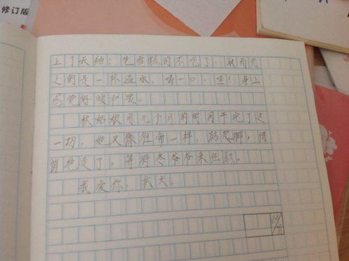 冬天校园的景色100字作文二级