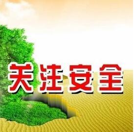 校园安全讲座观后感400字作文