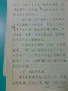 三年小学校园生活作文,回忆小学校园生活的作文,我的小学校园生活作文