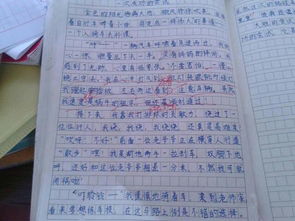 建设节约校园作文400字