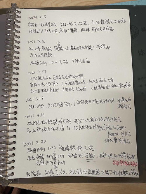 一件有趣的事情在校园里500字作文怎么写