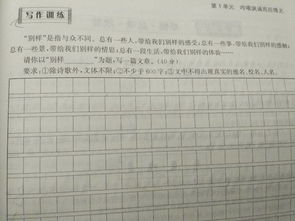 校园情初三800字作文