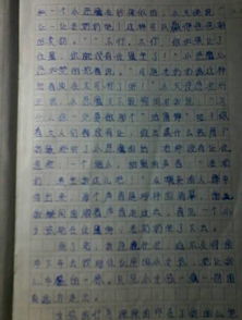 校园里的感动作文400字左右