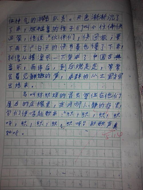 校园一景国旗作文600字