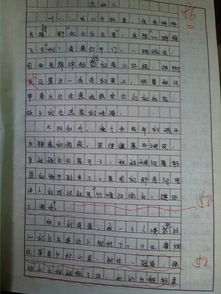 描写大学校园的作文1000字,我眼中的大学校园作文800字,初遇大学校园的作文