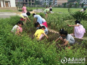 校园里的除草工作文