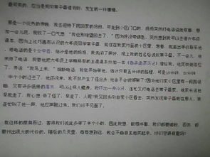 我的校园初二700字作文