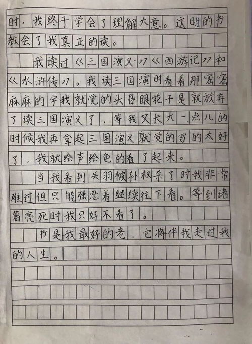 小学校园活动的优美作文