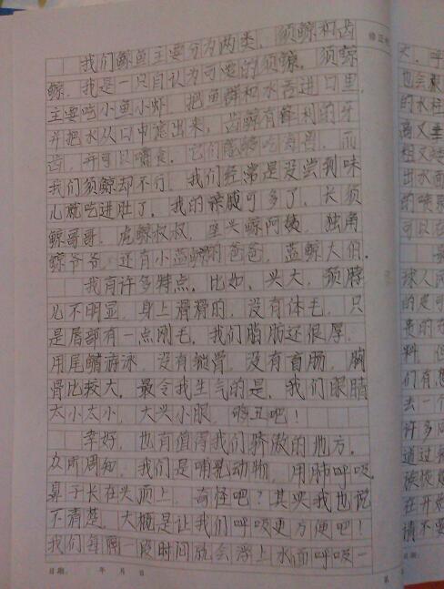 寻找校园最美瞬间作文1000字