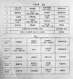 校园里的爱的午餐作文