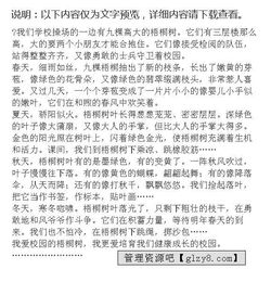 作文校园里的梧桐落叶