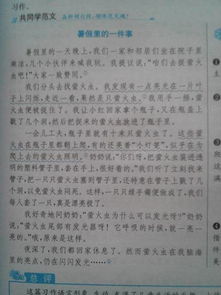 校园新闻报道作文600字,校园新闻报道作文600字初二,校园欺凌新闻报道作文