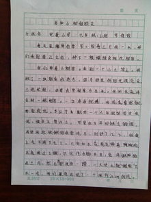 我心中的绿色校园300字作文