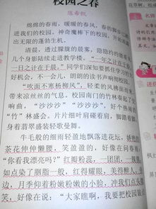 校园真美作文400字四年级,校园真美作文400字三年级,校园真美作文400字六年级