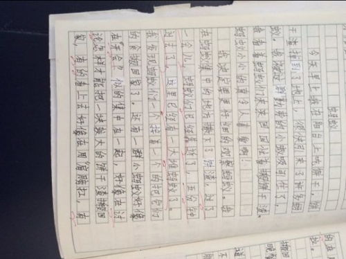 爱护校园环境作文400字左右,爱护校园的一草一木作文400字,爱护校园从我做起作文400字