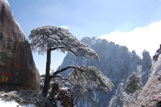 去黄山旅游的注意事项,福州去黄山旅游注意事项,11月份去黄山旅游注意事项