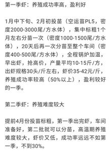 烧元宝的注意事项,烧小人注意事项,烧符咒注意事项