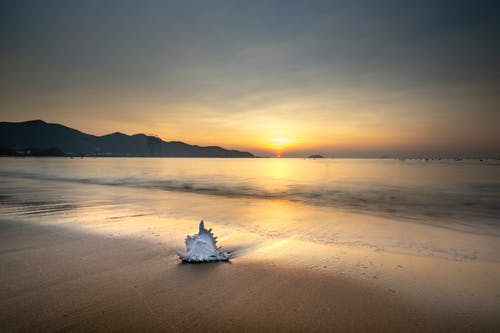 五年级读后感《骆驼祥子》