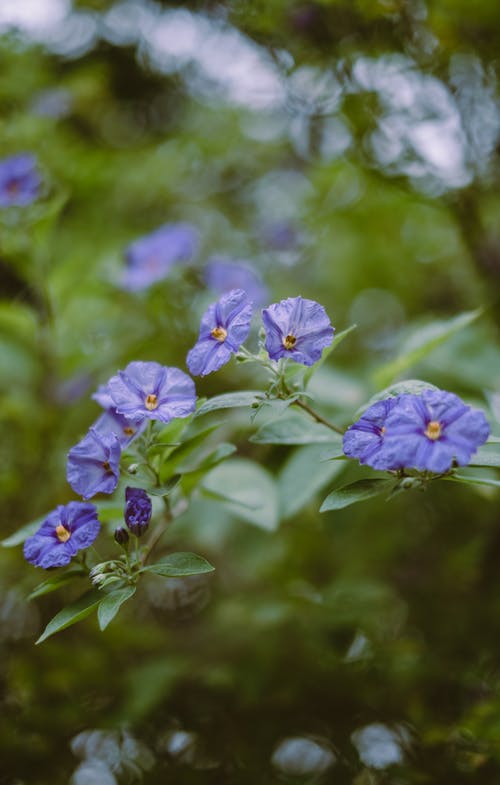 【推荐】四年级日记范文汇总九篇