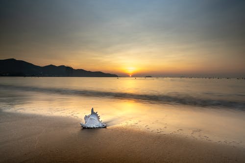 关于妇女节的感恩日记（精选8篇）