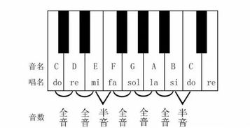 全音半音原理基础知识